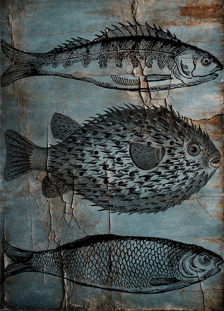 Old Fish Market 2 art print by Jamie Phillip for $57.95 CAD