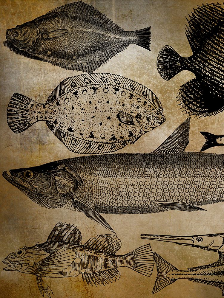 Fish Shop 1 art print by Jamie Phillip for $57.95 CAD