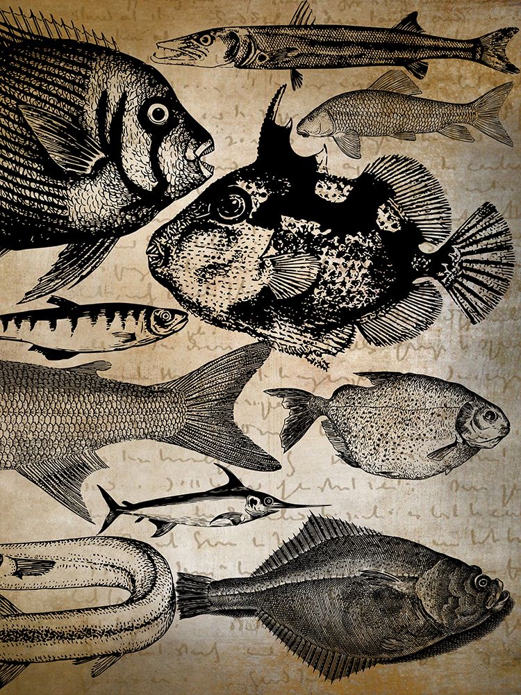 Fish Shop 2 art print by Jamie Phillip for $57.95 CAD