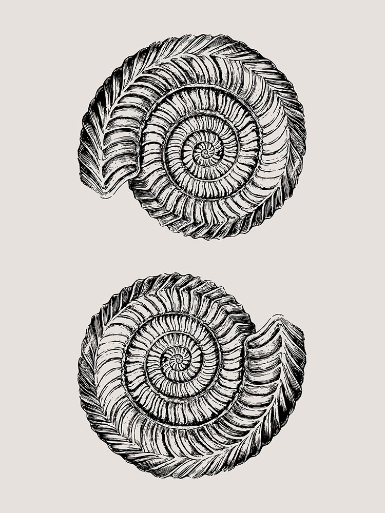 Vintage Ocean art print by Jamie Phillip for $57.95 CAD