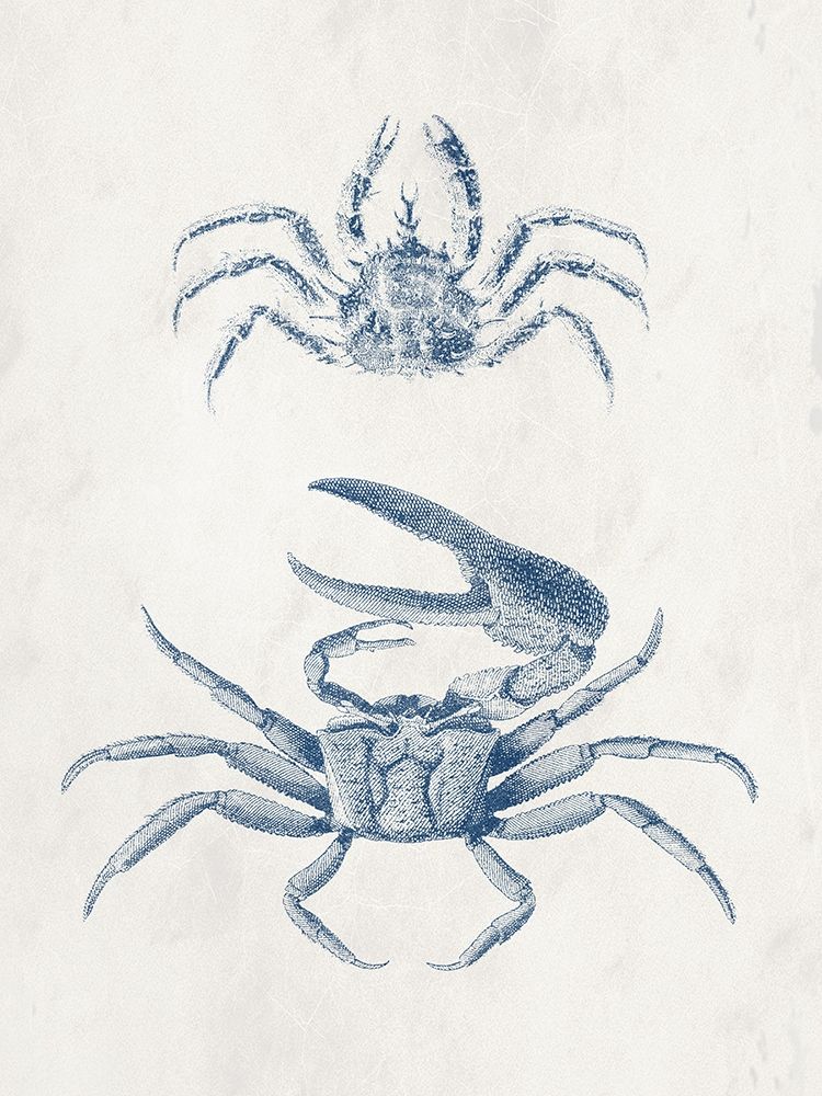 Ocean Deep 1 art print by Jamie Phillip for $57.95 CAD