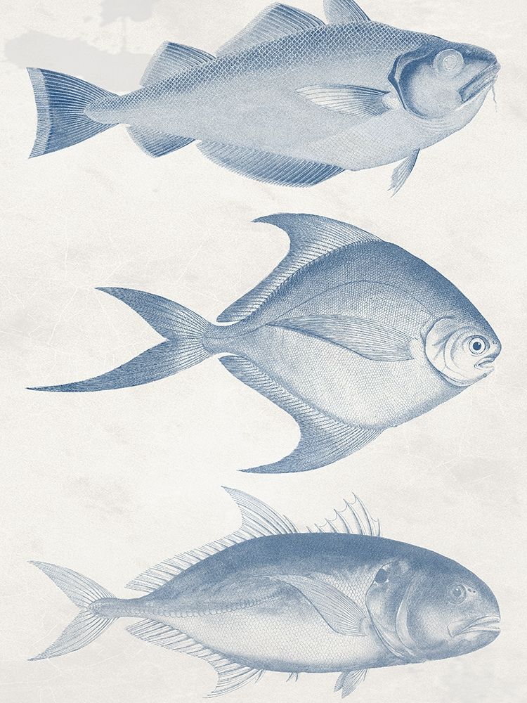 Ocean Deep 2 art print by Jamie Phillip for $57.95 CAD