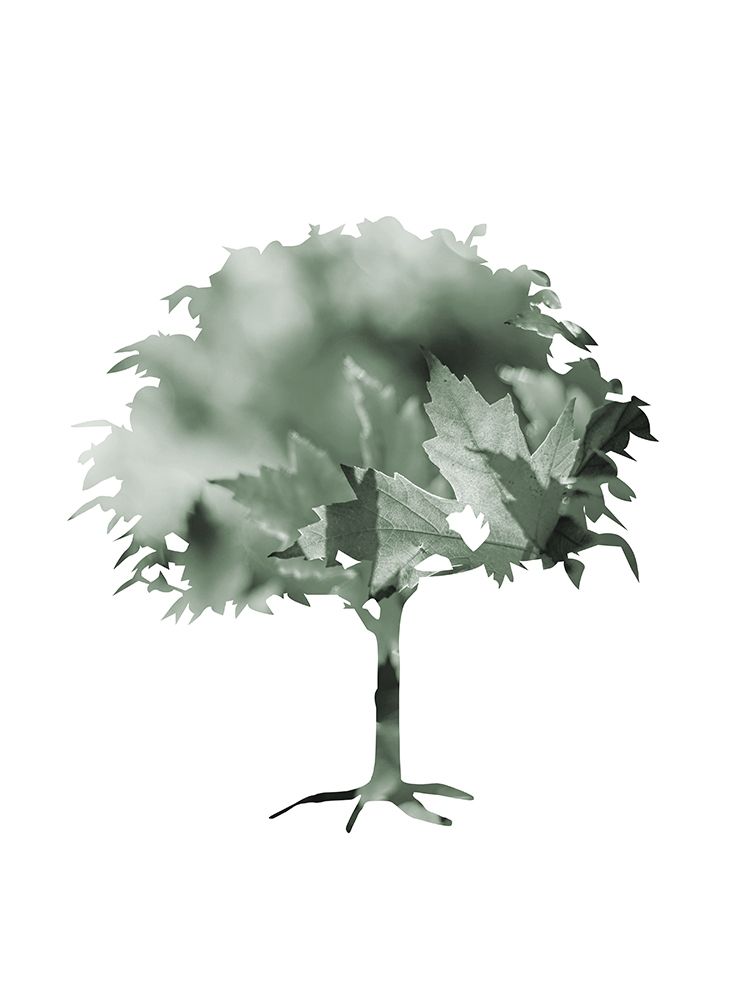 Aqua Tree 3 art print by Jamie Phillip for $57.95 CAD