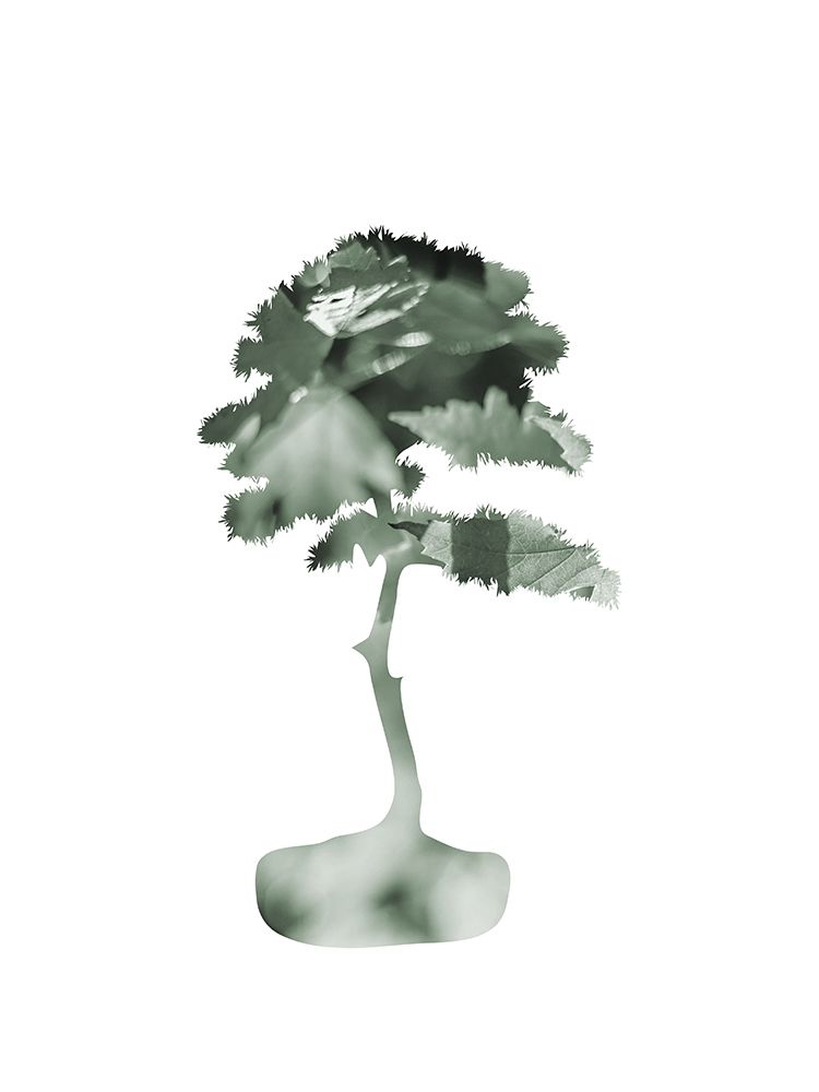 Aqua Tree 4 art print by Jamie Phillip for $57.95 CAD