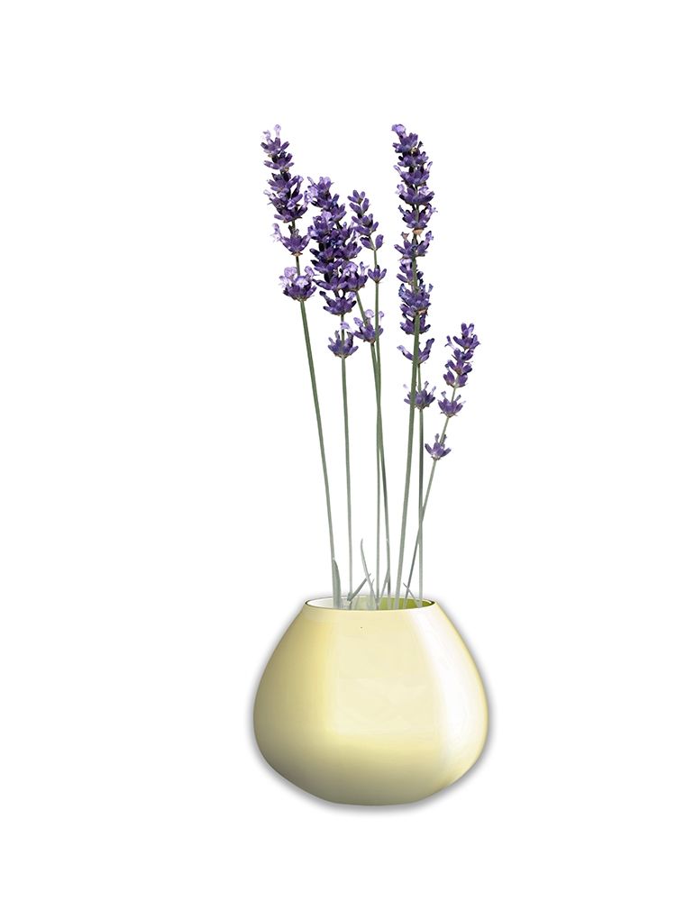 LAVENDER art print by Jamie Phillip for $57.95 CAD