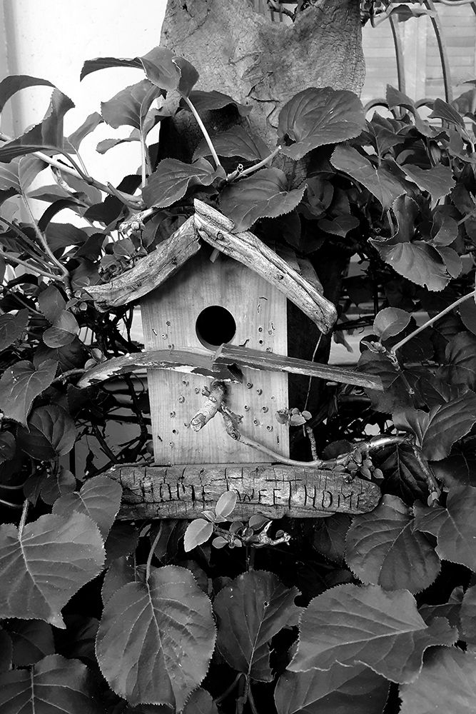 Bird House art print by Jamie Phillip for $57.95 CAD