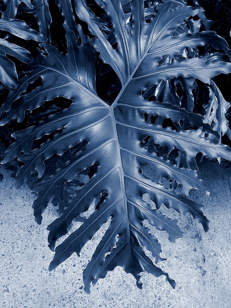 Garden art print by Jamie Phillip for $57.95 CAD