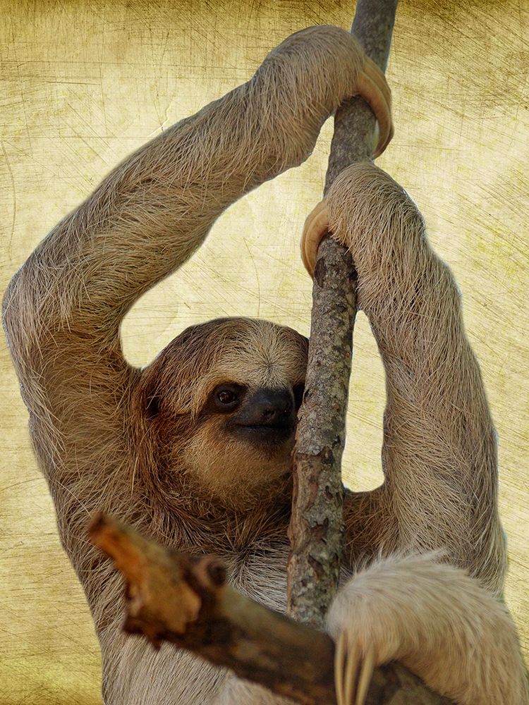 Hang On art print by Jamie Phillip for $57.95 CAD