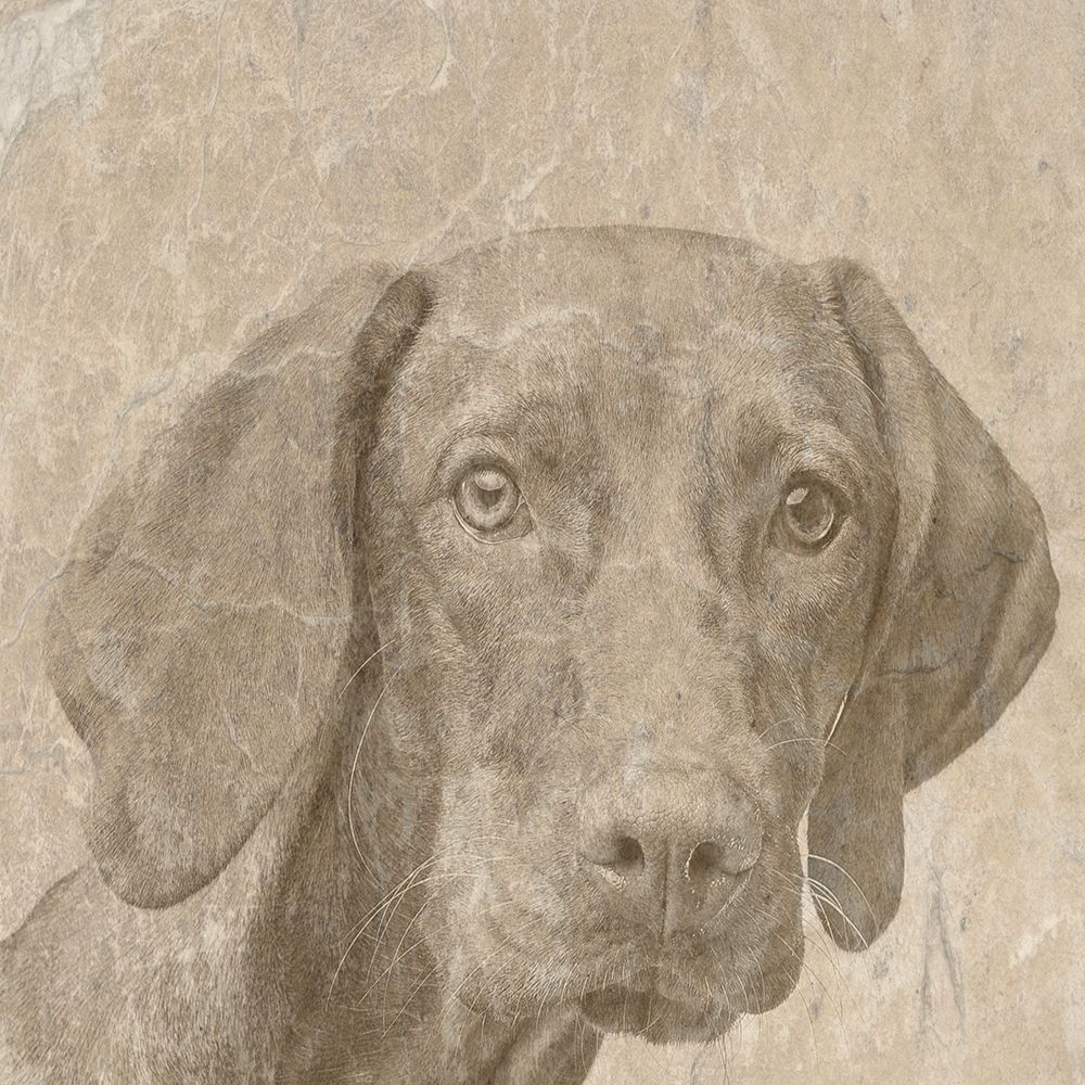 Puppylove art print by Jamie Phillip for $57.95 CAD