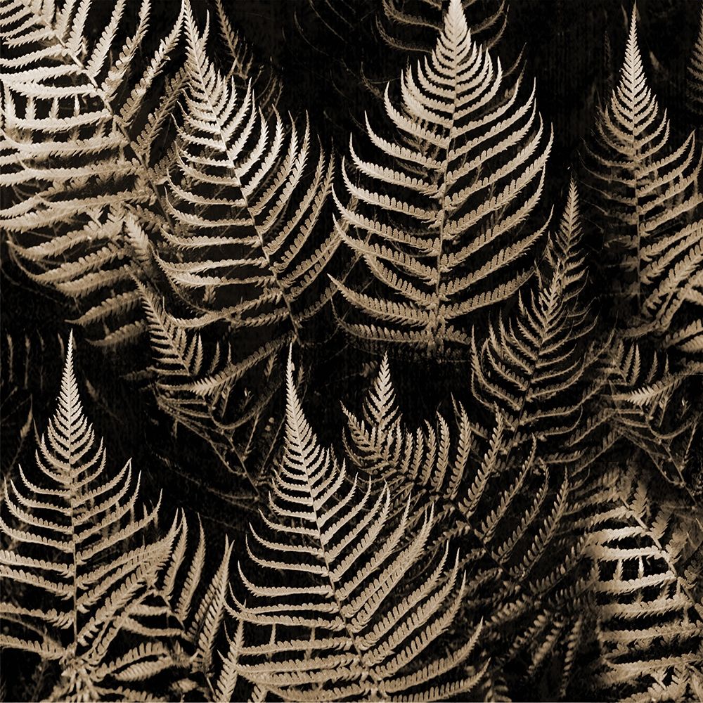 Natural Midnight art print by Jamie Phillip for $57.95 CAD