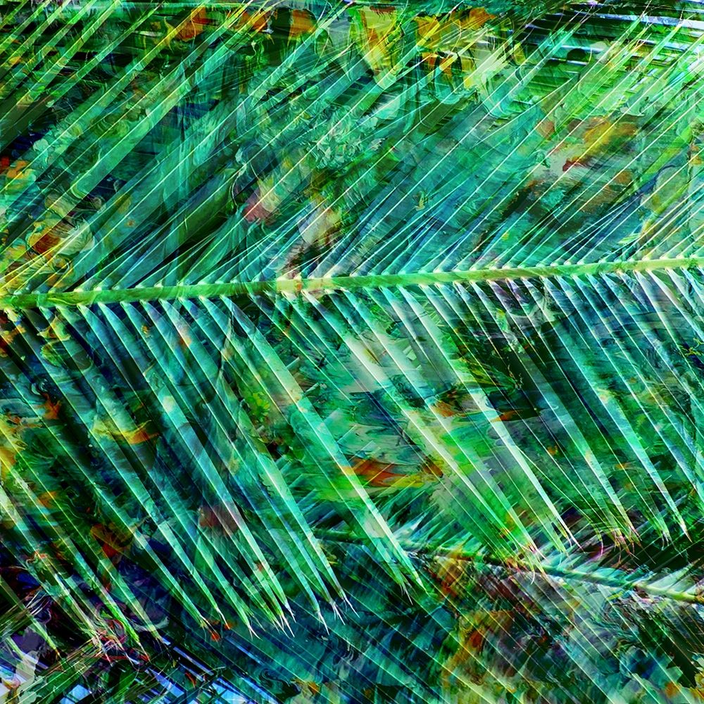 Tropical Palm art print by Jamie Phillip for $57.95 CAD