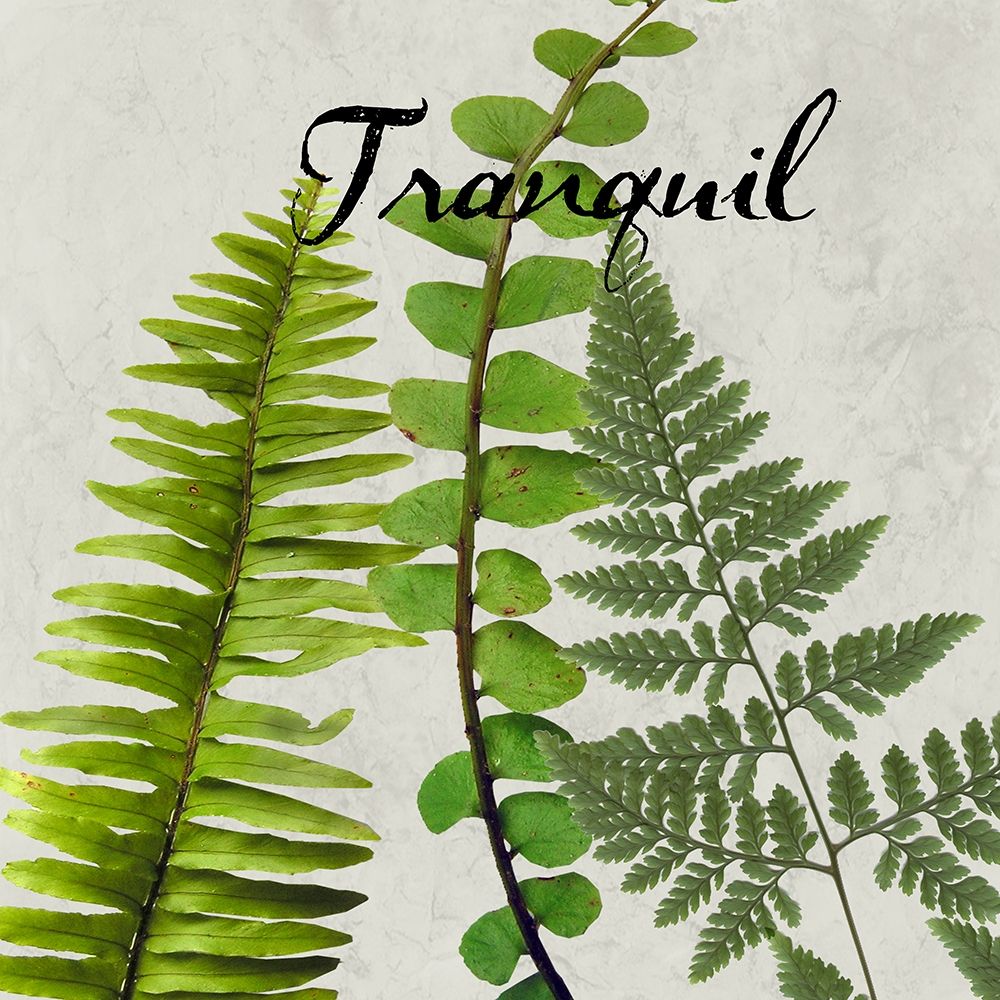 Tranquil art print by Jamie Phillip for $57.95 CAD