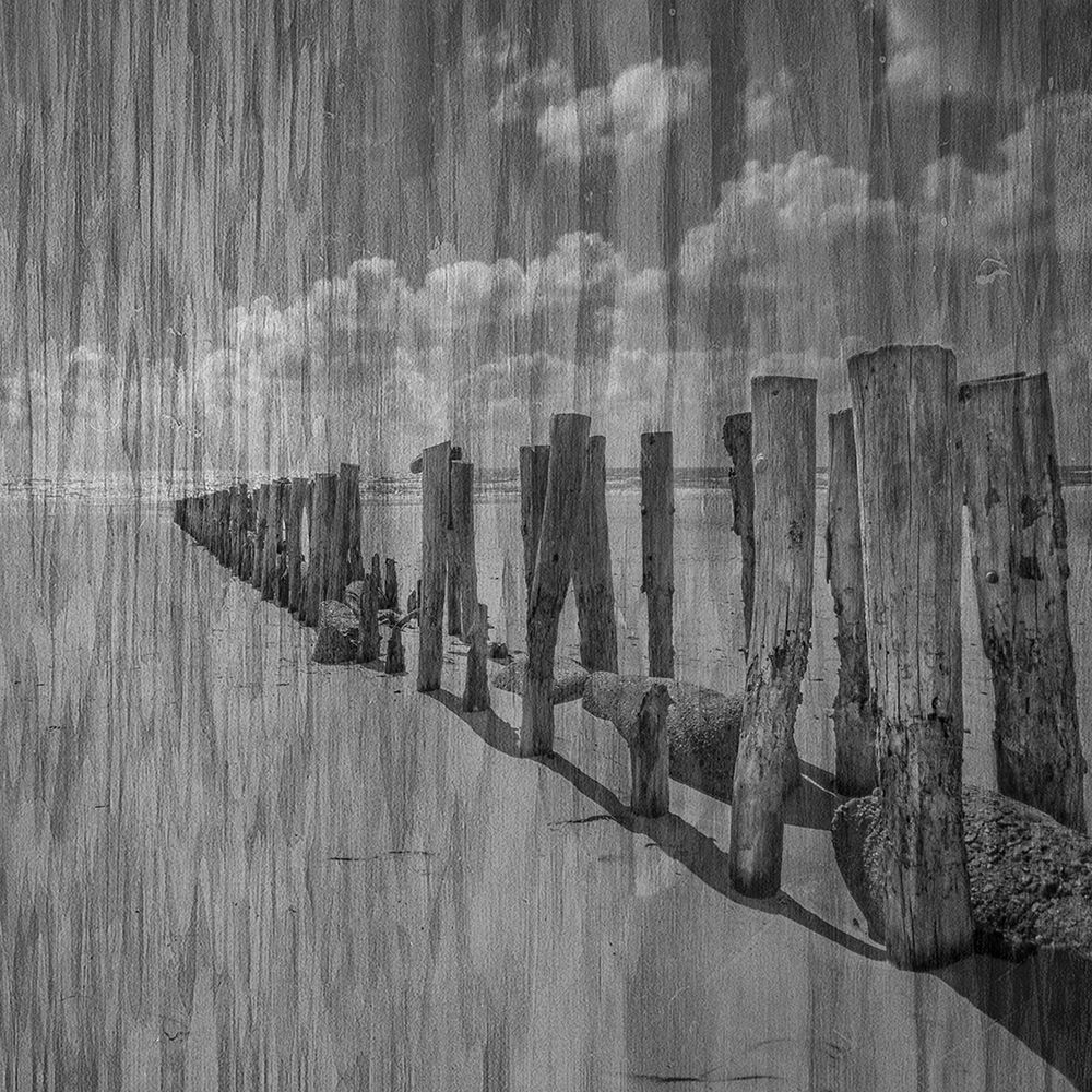 Black and White Beach art print by Jamie Phillip for $57.95 CAD