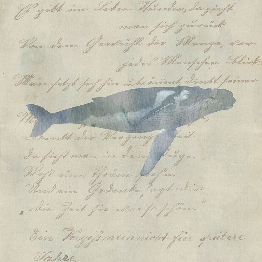 Whale Done art print by Jamie Phillip for $57.95 CAD
