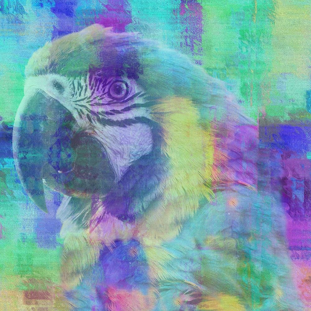 Flying Colors art print by Jamie Phillip for $57.95 CAD