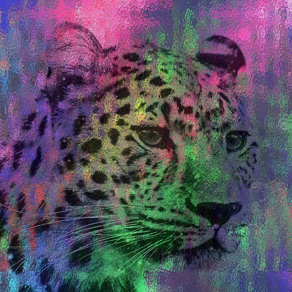 Abstract Lepard art print by Jamie Phillip for $57.95 CAD