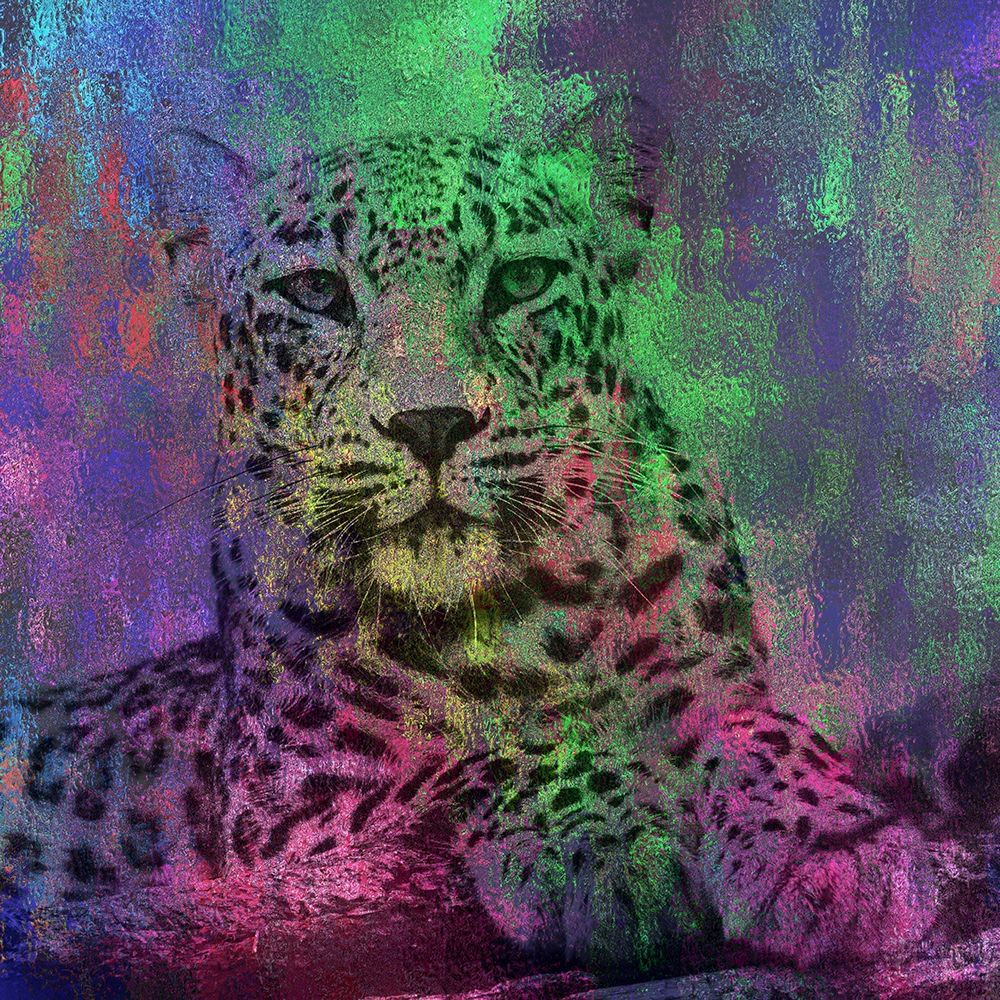 Abstract Lepard 2 art print by Jamie Phillip for $57.95 CAD