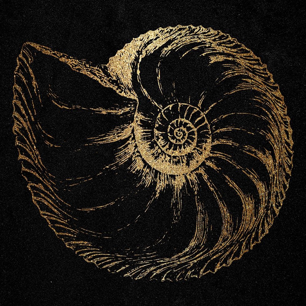 Gold Shell art print by Jamie Phillip for $57.95 CAD