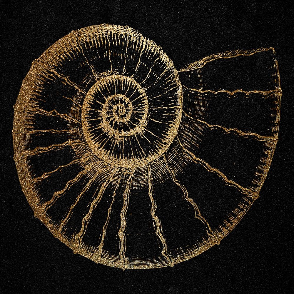 Gold Shell 2 art print by Jamie Phillip for $57.95 CAD