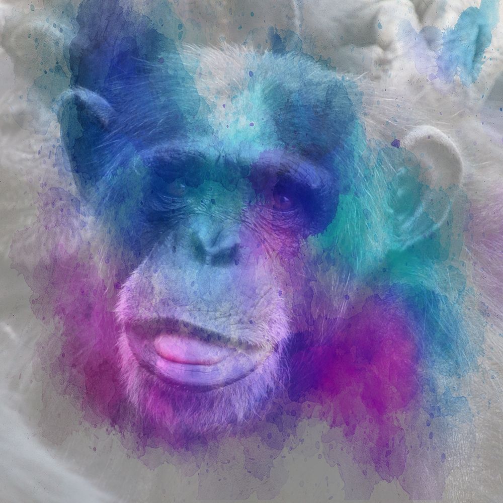 Hidden Monkey art print by Jamie Phillip for $57.95 CAD