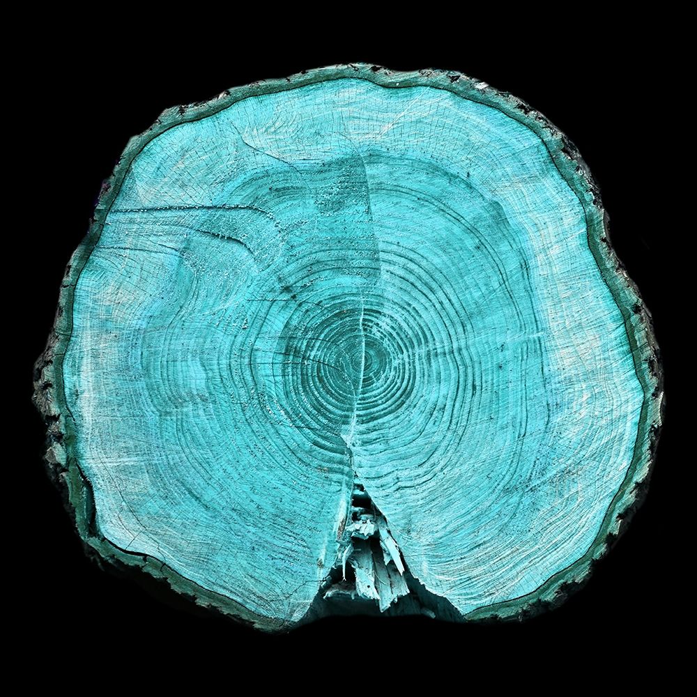 Lodge Log 1 art print by Jamie Phillip for $57.95 CAD