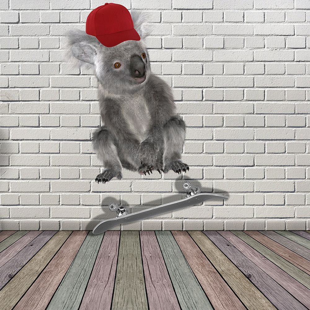 Kick Flip Koala art print by Jamie Phillip for $57.95 CAD