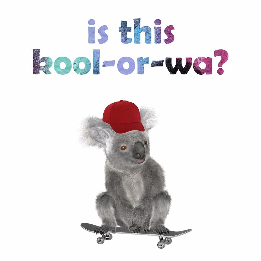 Kick Flip Koala 2 art print by Jamie Phillip for $57.95 CAD