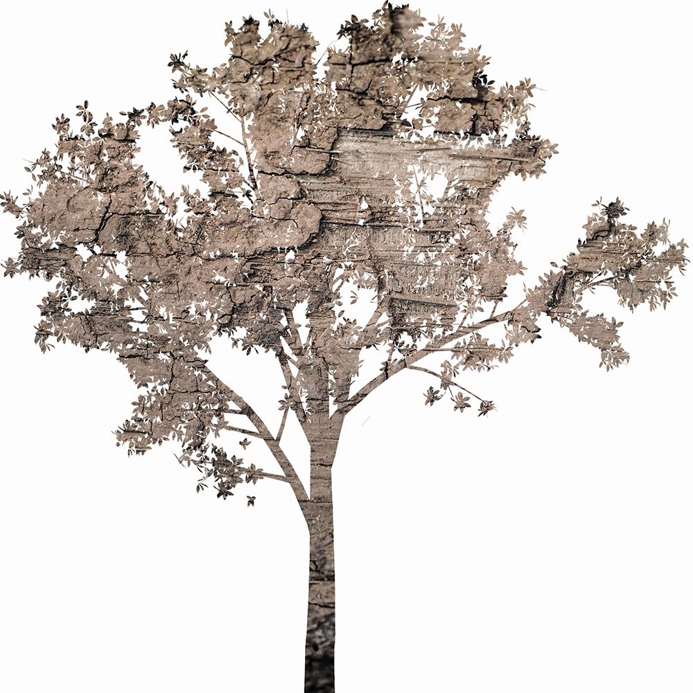Wooded art print by Jamie Phillip for $57.95 CAD