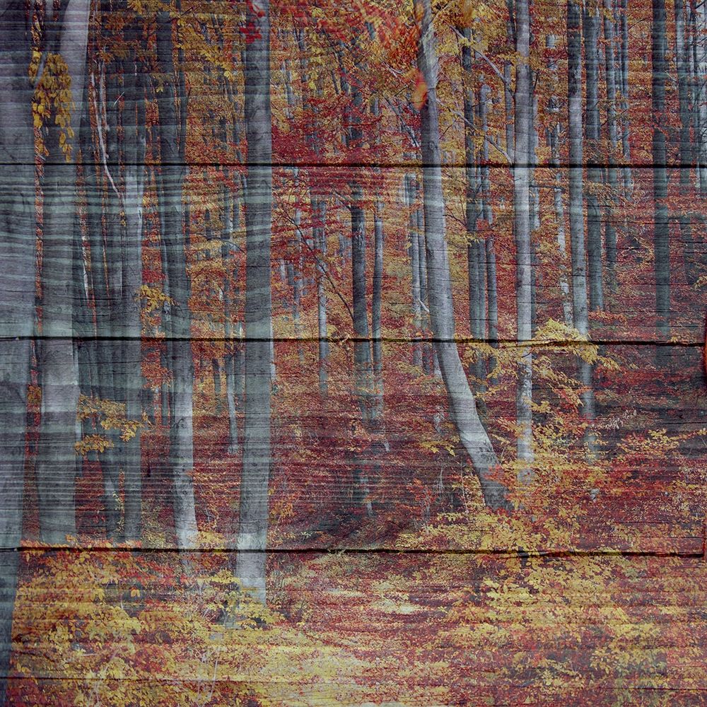 Landscape art print by Jamie Phillip for $57.95 CAD