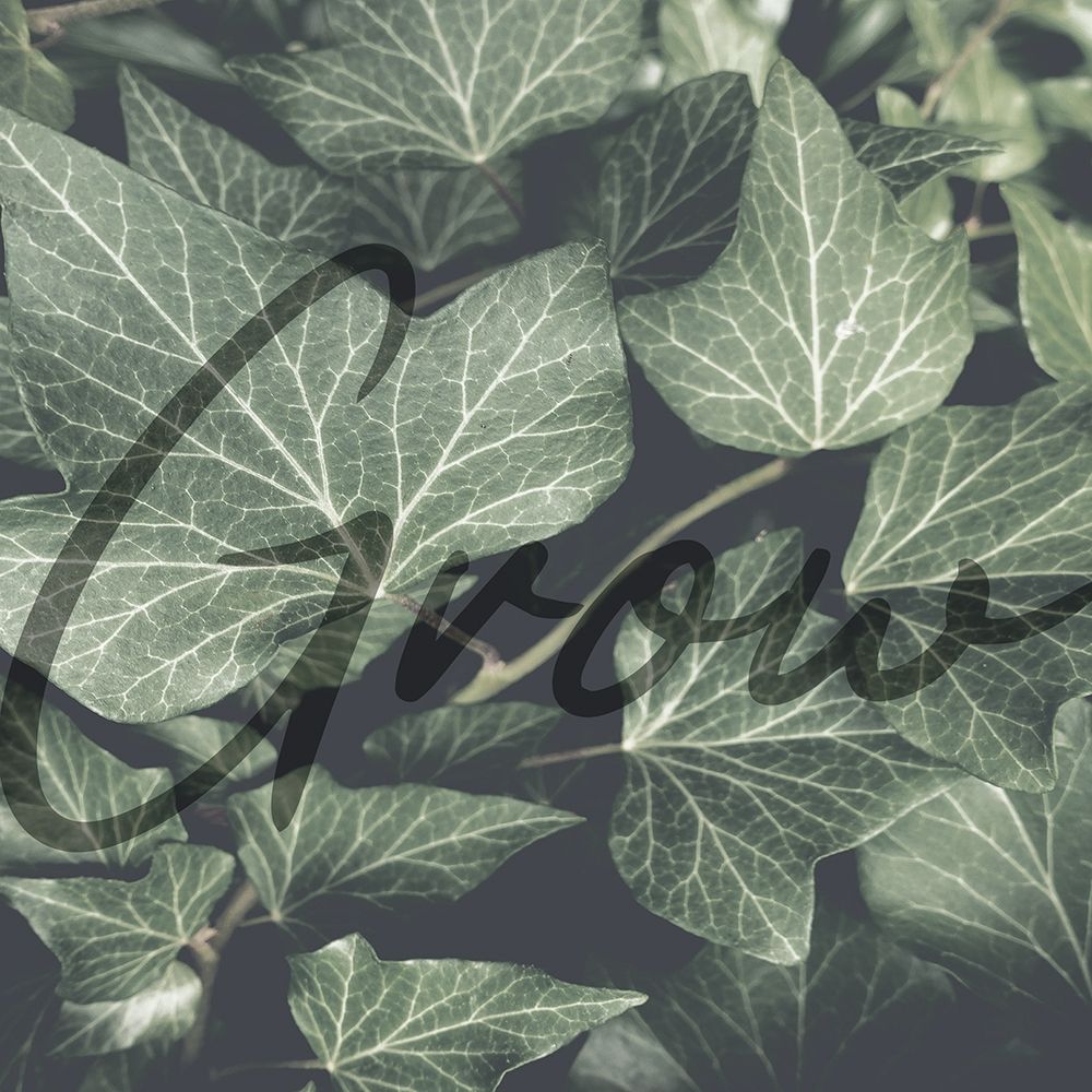 Green Garden art print by Jamie Phillip for $57.95 CAD