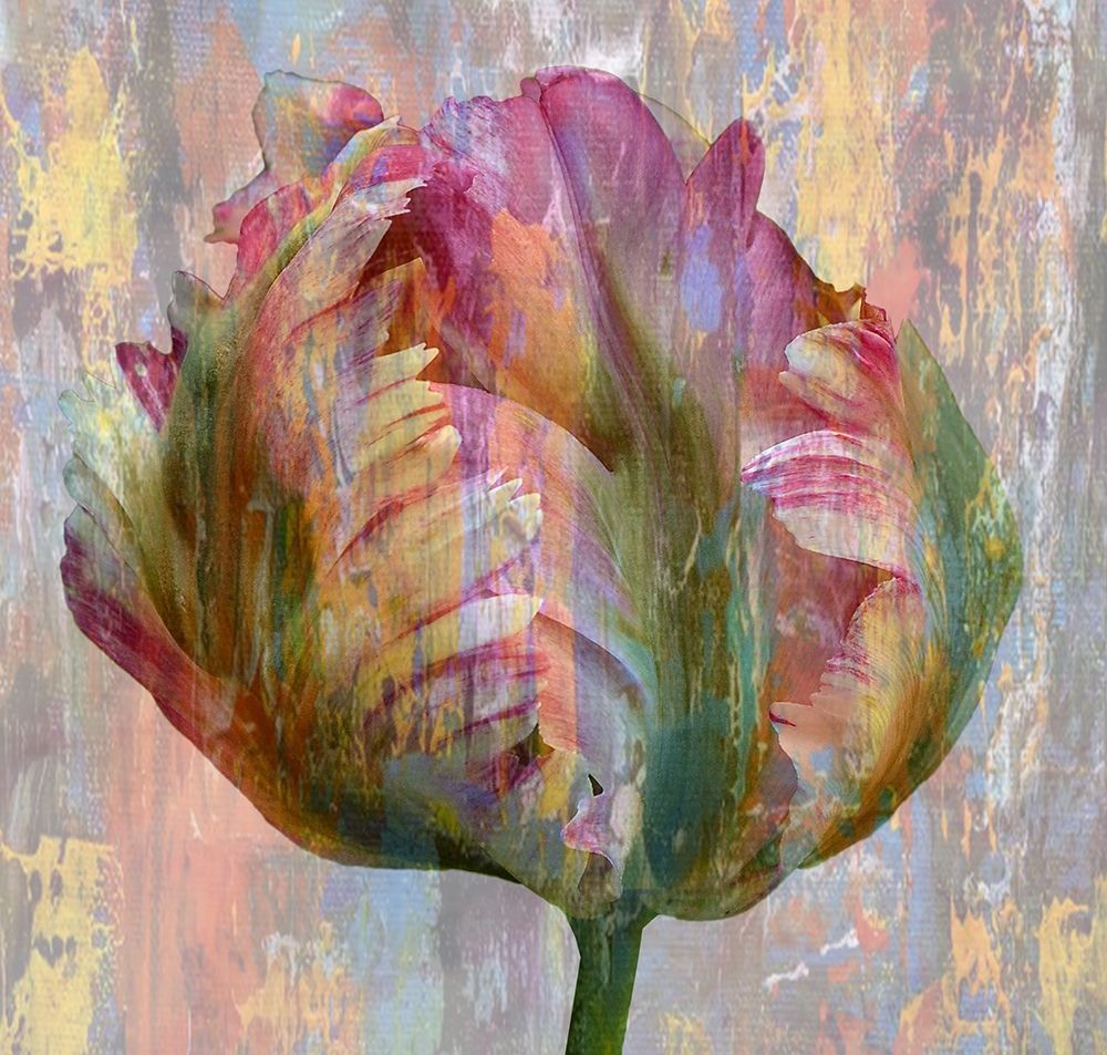 Tulip Abstract art print by Jamie Phillip for $57.95 CAD