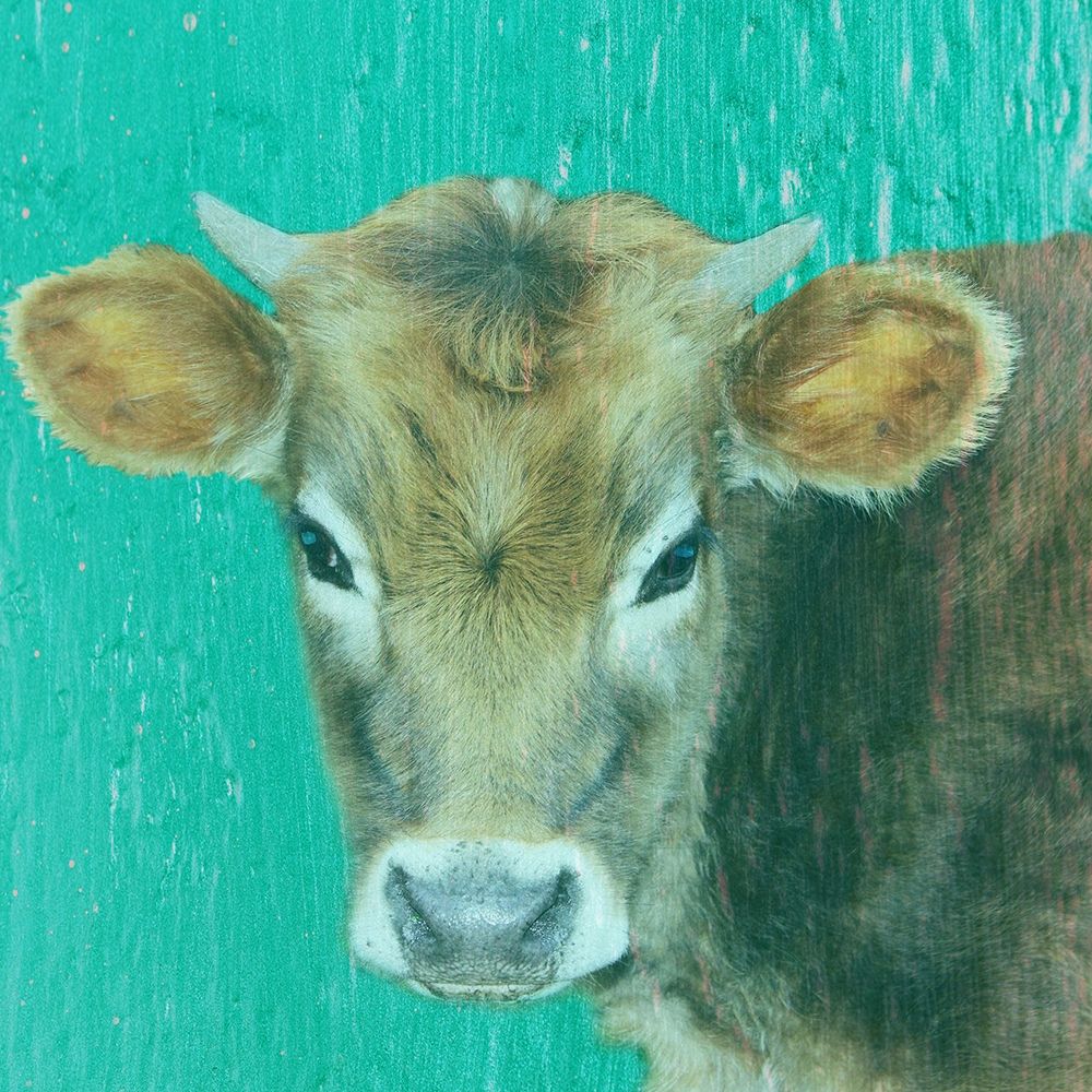Hello Moo art print by Jamie Phillip for $57.95 CAD