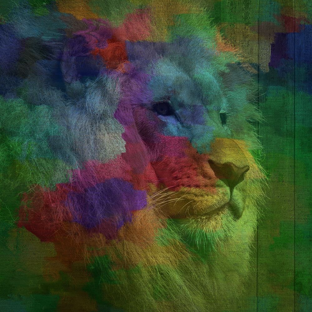 Lion Roar art print by Jamie Phillip for $57.95 CAD