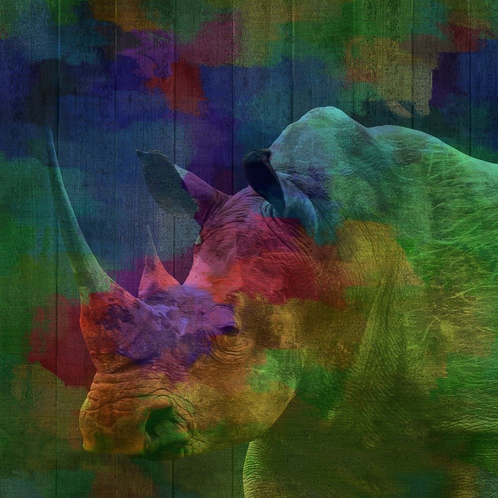 Rhino art print by Jamie Phillip for $57.95 CAD