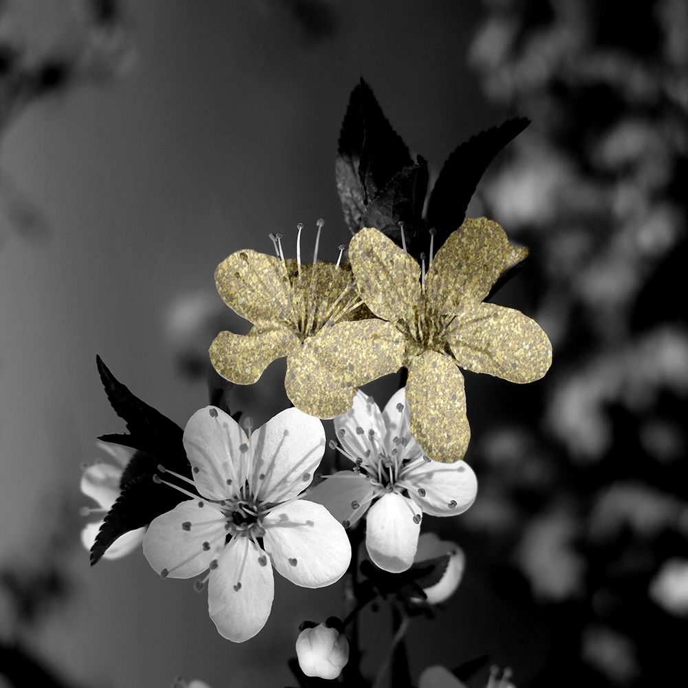 Black and Gold Beauty 1 art print by Jamie Phillip for $57.95 CAD