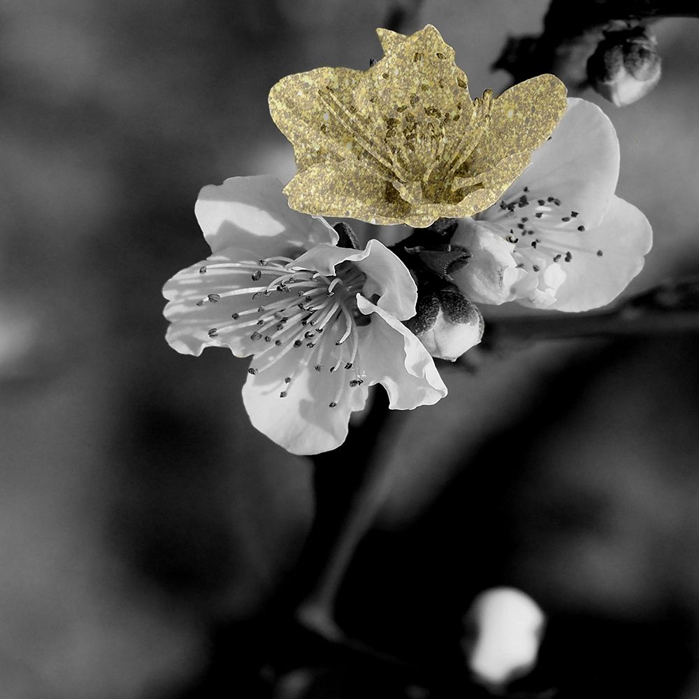 Black and Gold Beauty 2 art print by Jamie Phillip for $57.95 CAD