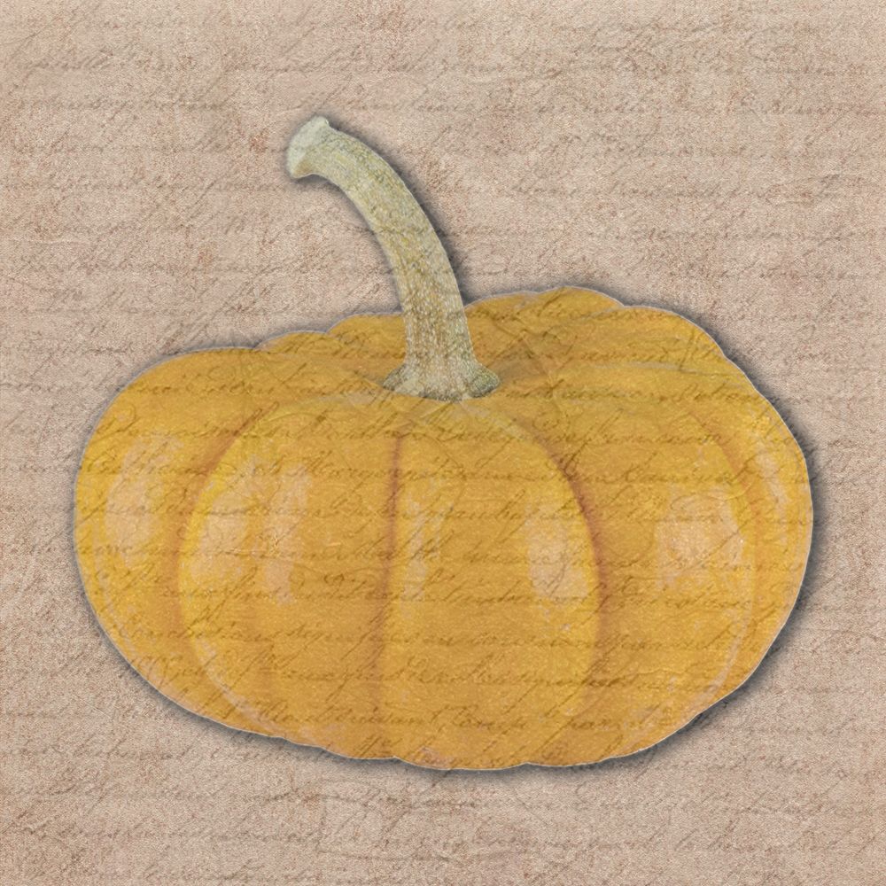 Pumpkin art print by Jamie Phillip for $57.95 CAD