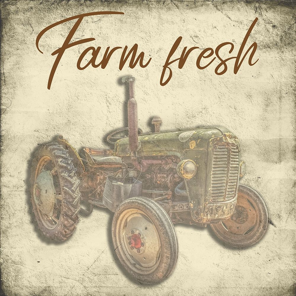 Fresh art print by Jamie Phillip for $57.95 CAD
