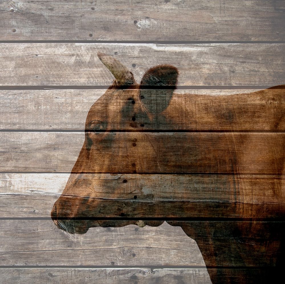 Bullkin art print by Jamie Phillip for $57.95 CAD