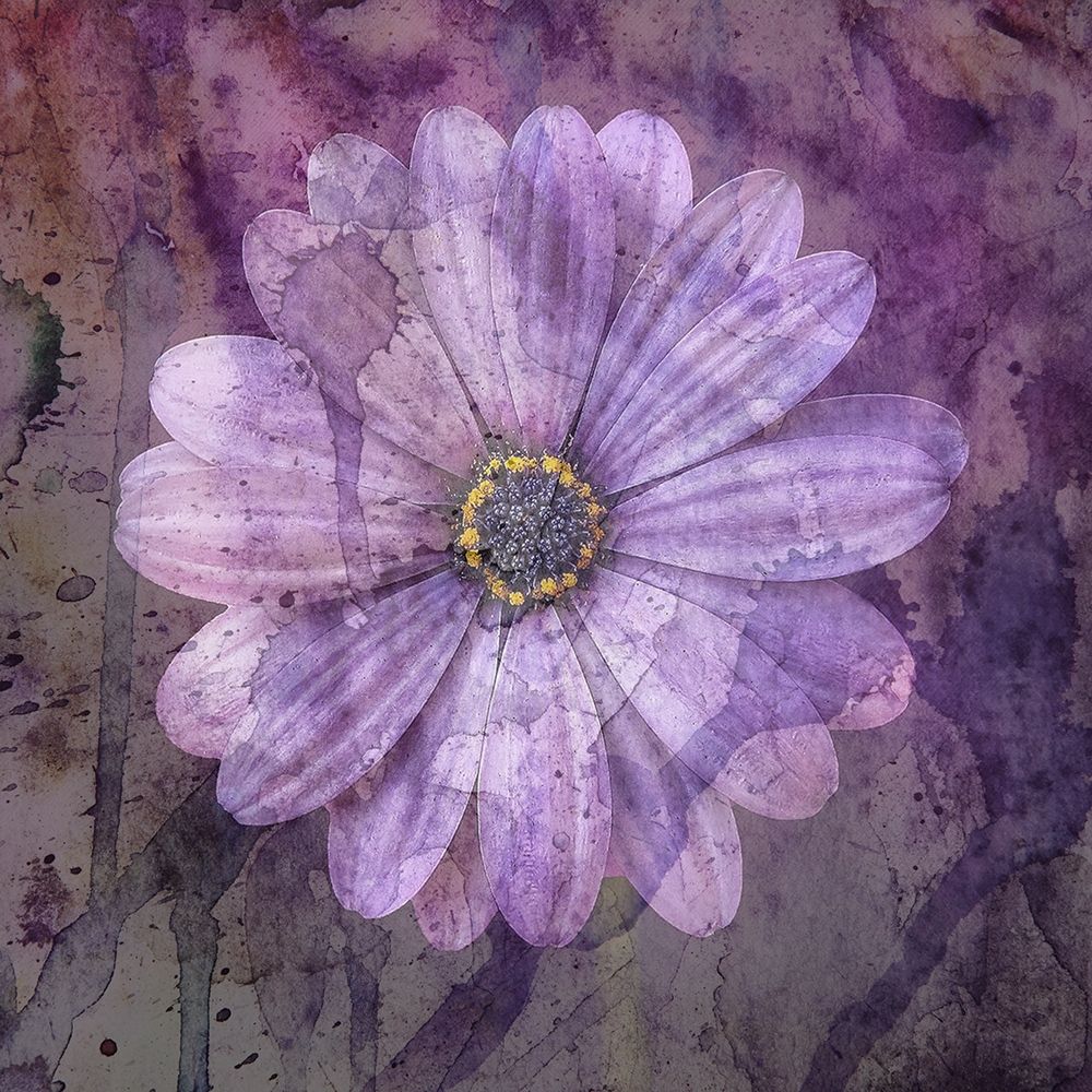 Watercolor Love 1 art print by Jamie Phillip for $57.95 CAD