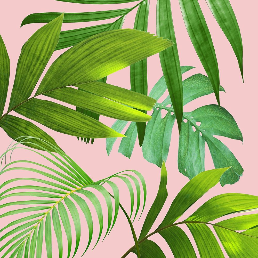 Mellow Mood 3 art print by Jamie Phillip for $57.95 CAD