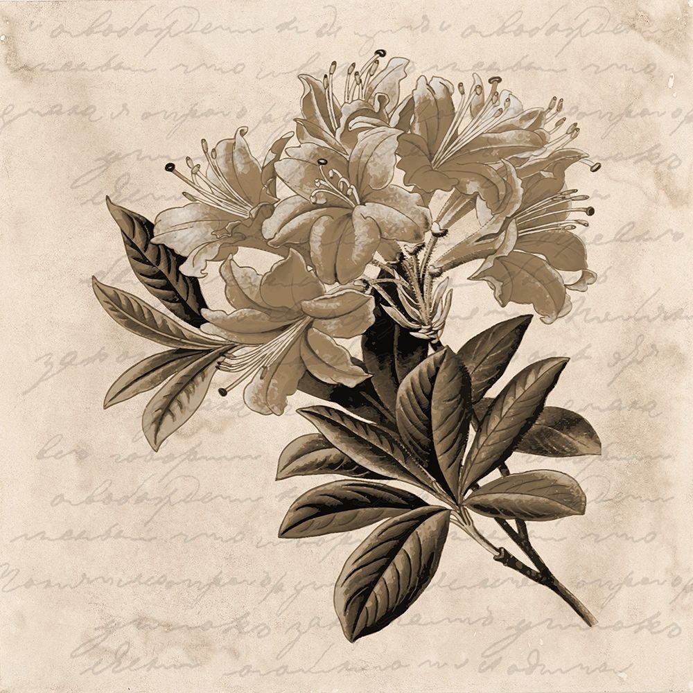 Love Letter art print by Jamie Phillip for $57.95 CAD