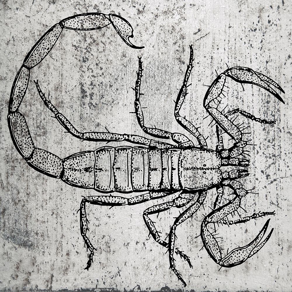 Spring Bug 1 art print by Jamie Phillip for $57.95 CAD
