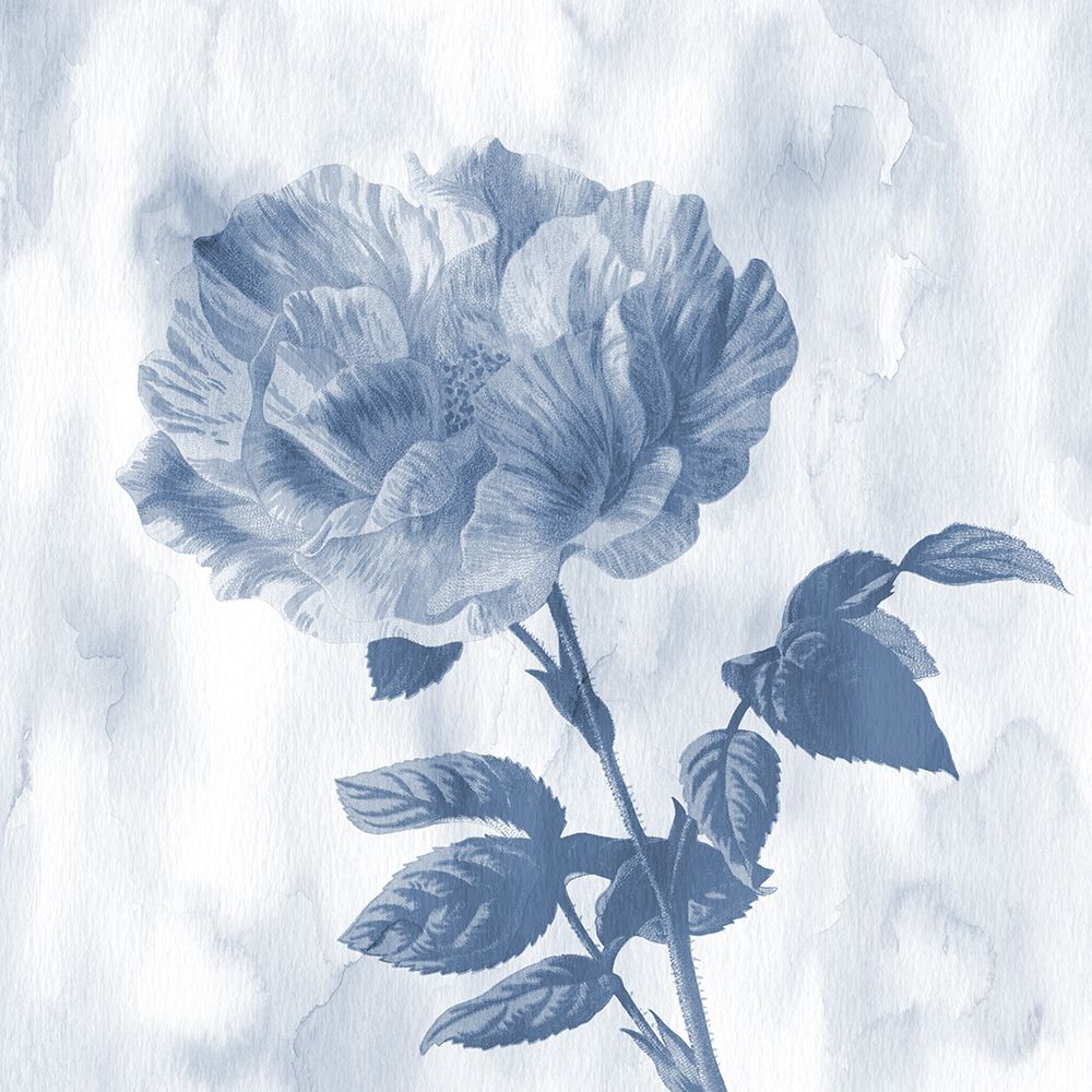 Blue Rose art print by Jamie Phillip for $57.95 CAD