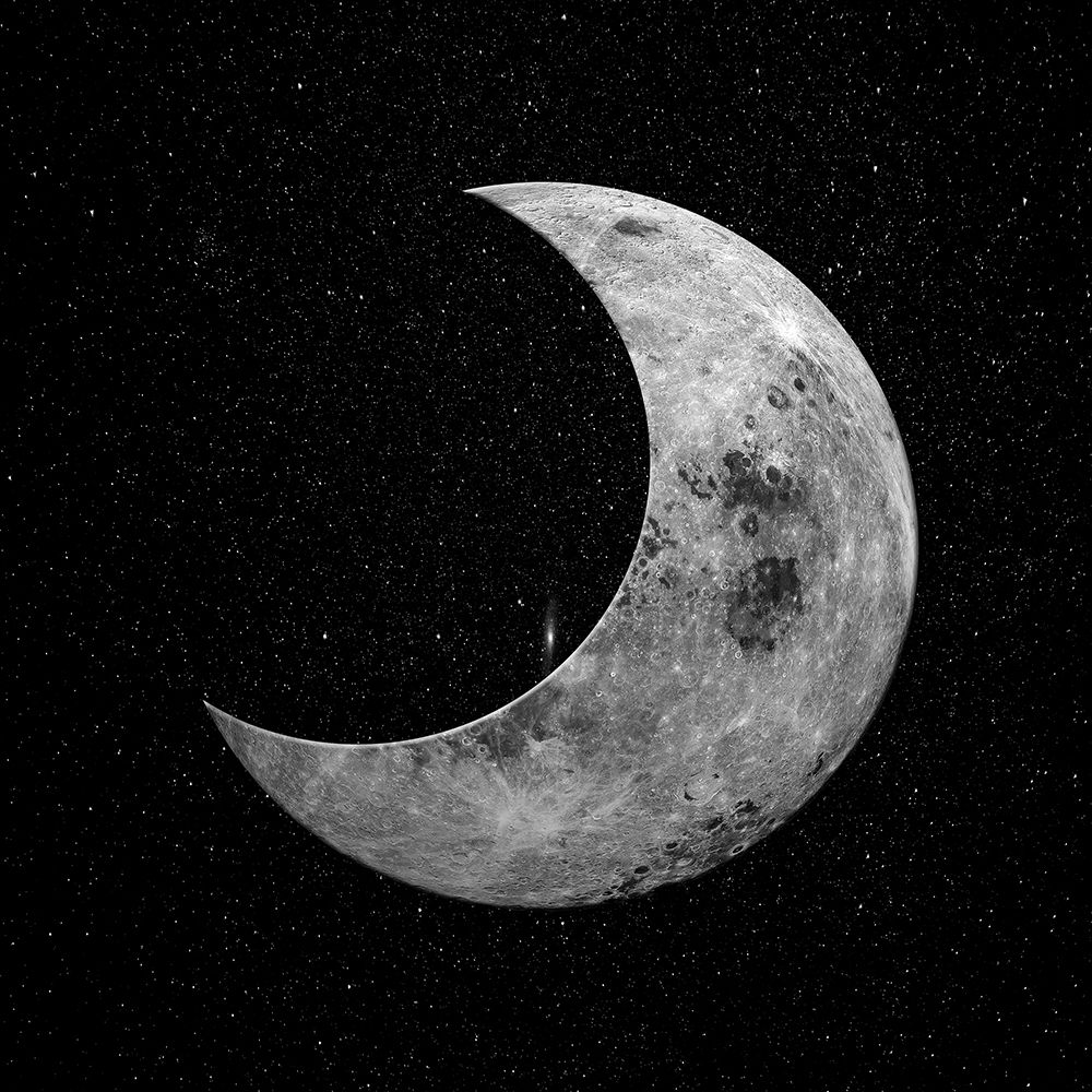 Night Moon art print by Jamie Phillip for $57.95 CAD