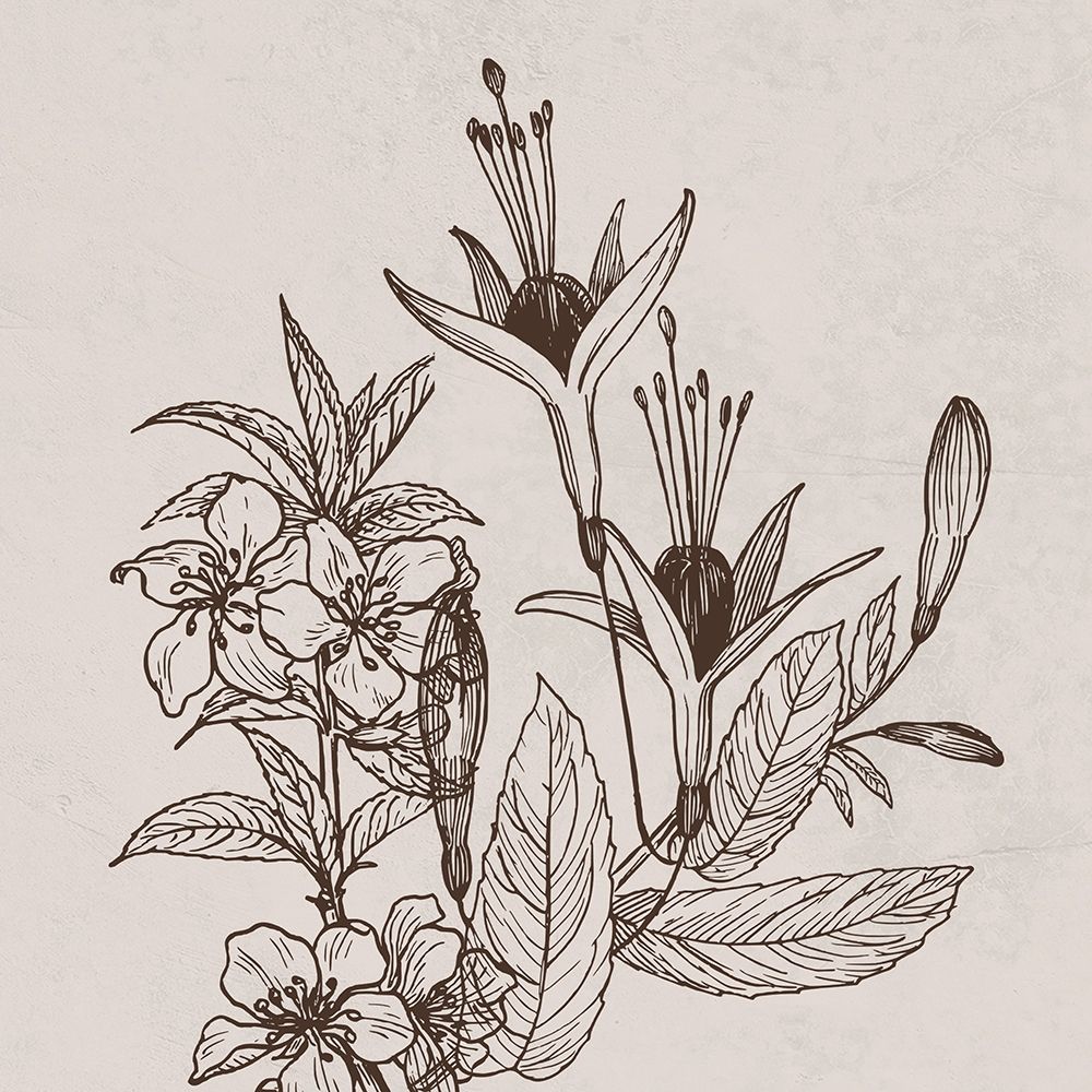 Botanical Roots art print by Jamie Phillip for $57.95 CAD