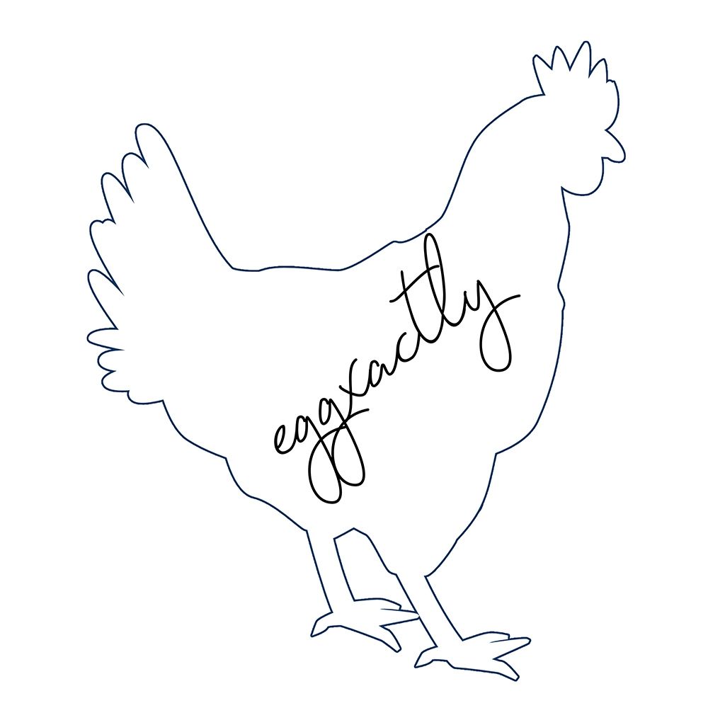 Chicken art print by Jamie Phillip for $57.95 CAD