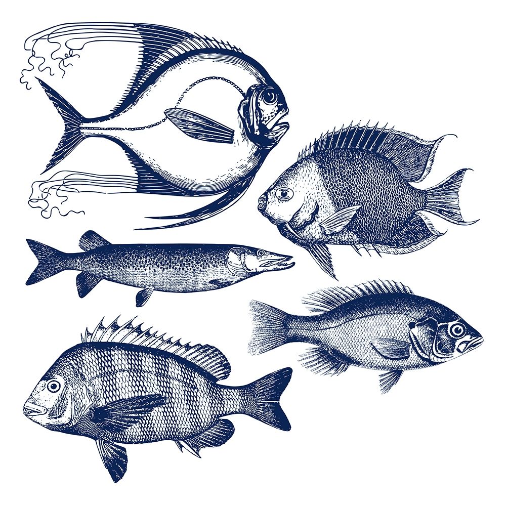 Fishes art print by Jamie Phillip for $57.95 CAD