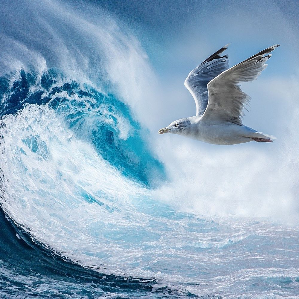 Big Wave art print by Jamie Phillip for $57.95 CAD