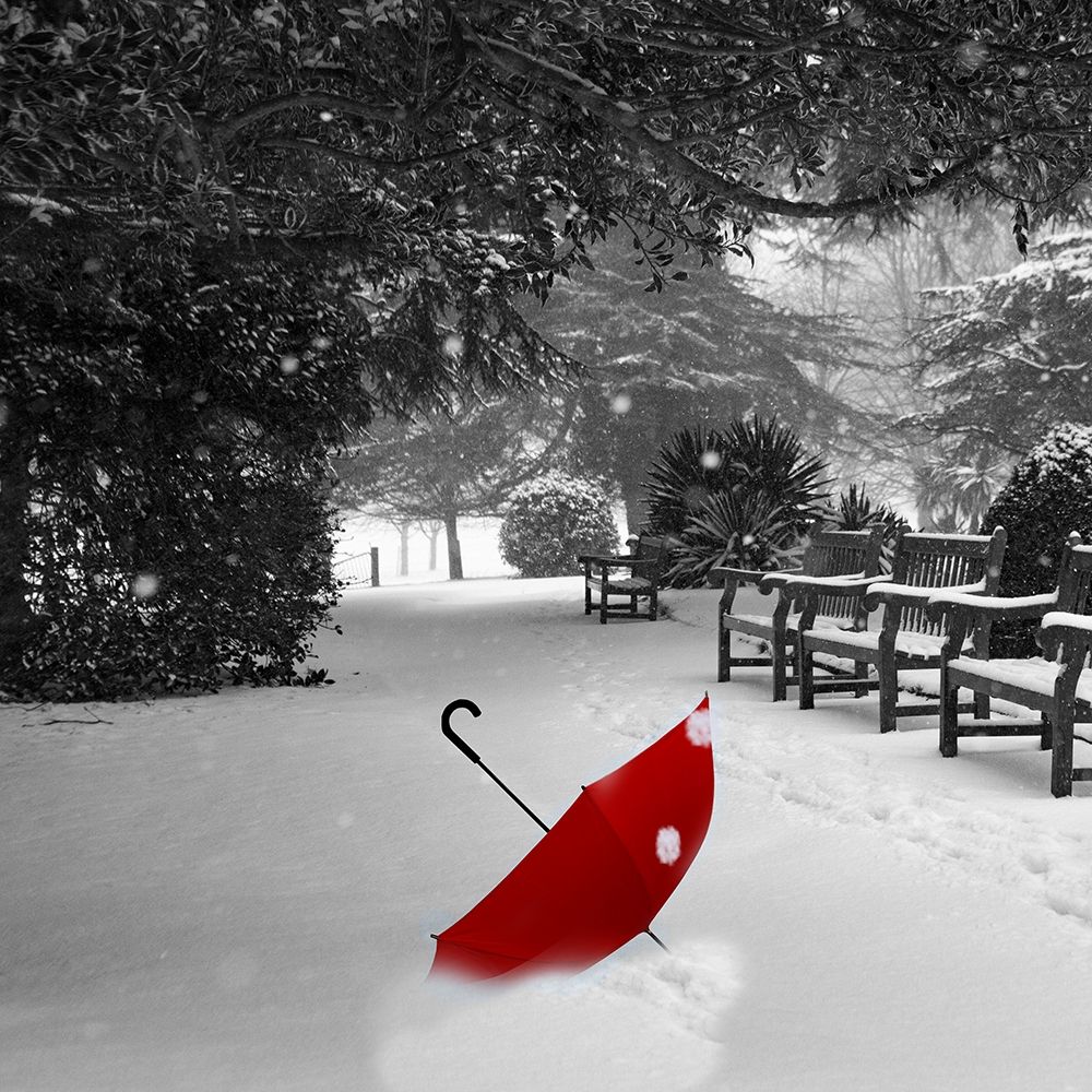 Red Snow art print by Jamie Phillip for $57.95 CAD